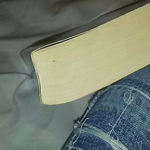 Brisinger Amazing Book and a real page turner!! - Picture 5 of 8